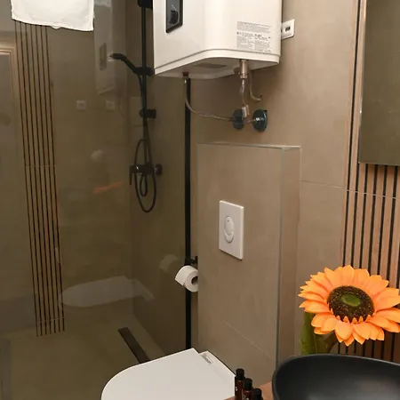 Daisy 1 * Banja Luka